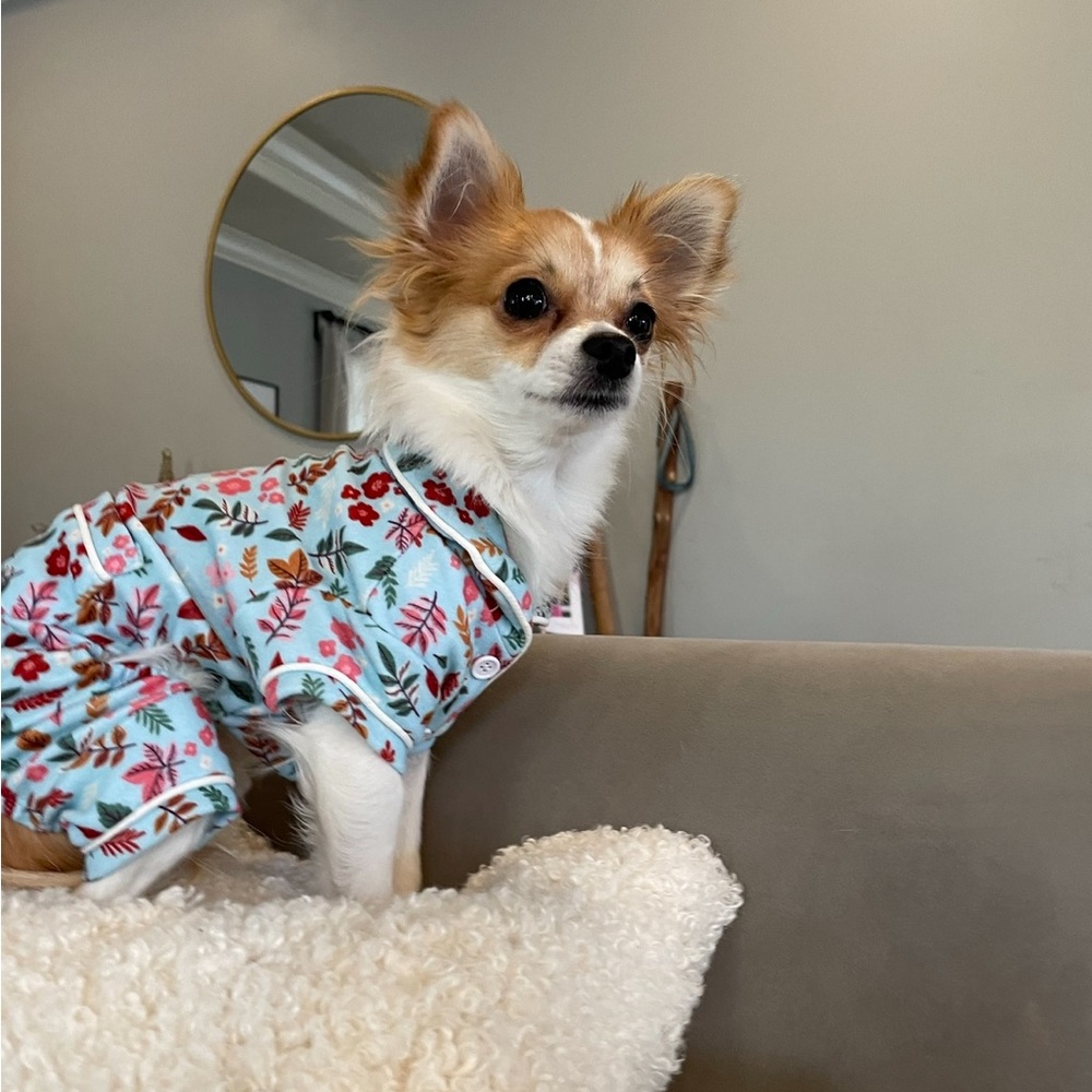 Fall Print Dog Pajamas - Picture 2 of 8